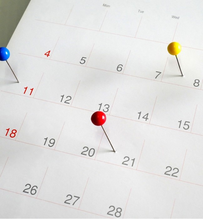 Calendar with pins on different dates