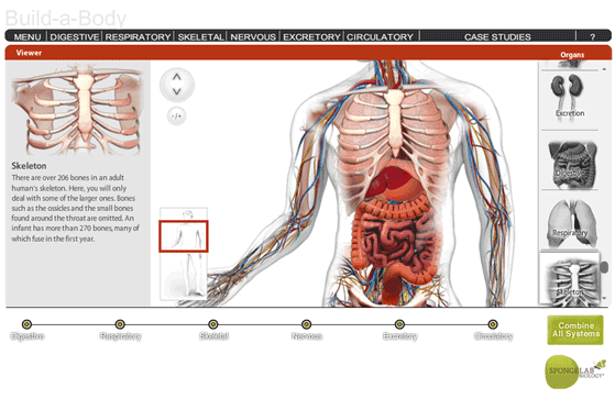 Spongelab Interactive example of a medical course