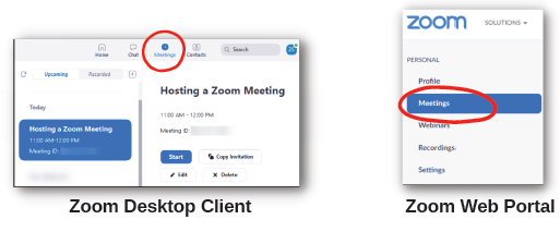 hosting zoom meeting free