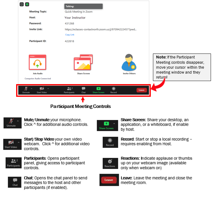 Participant controls - join the meeting