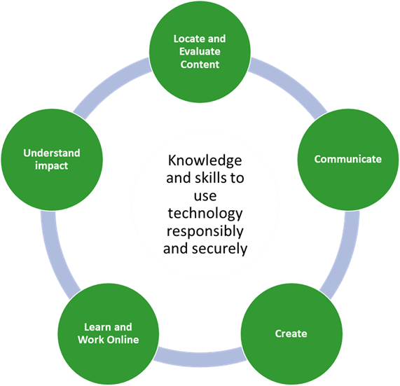 Digital Fluency model with 5 points