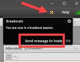 Screenshot of Zoom meeting. Sending a message