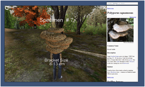 Screenshot of Eco Walk virtual field trip