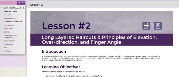 An online image from the template of Professor Taunya Murphy's hybrid course in the Hairstyling Program.