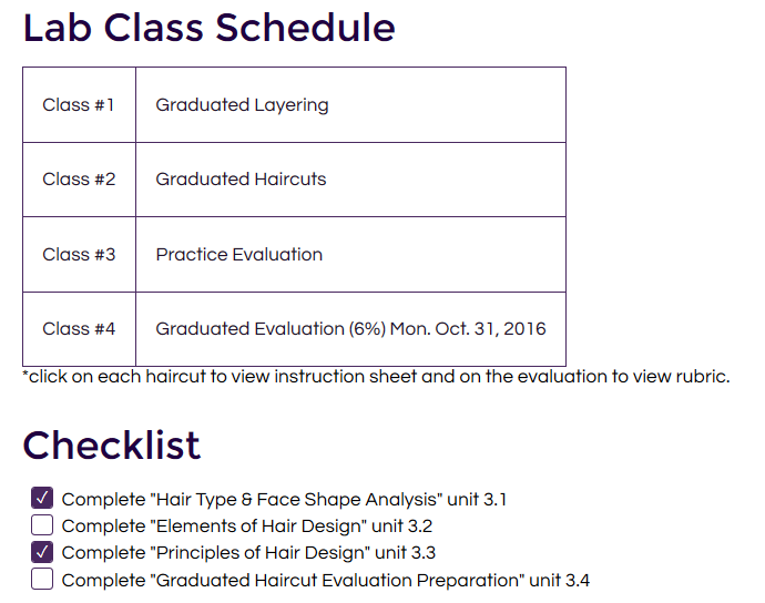 An online image outlining the schedule of lab classes in Professor Taunya Murphy's hybrid course in the Hairstyling program.