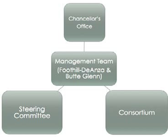 OEI Governance Structure